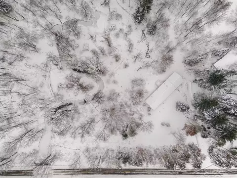 1455 SE County Line, Shepherd, MI 48883 photo 30