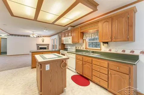 1455 SE County Line, Shepherd, MI 48883 photo 6