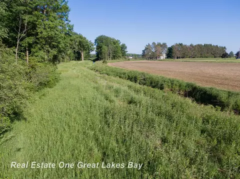 Roosevelt, Hemlock, MI 48626 photo 8