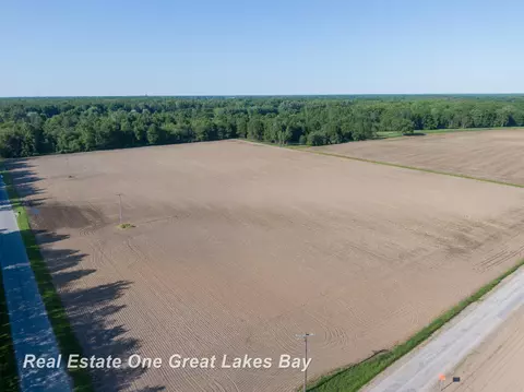 Roosevelt, Hemlock, MI 48626 photo 2