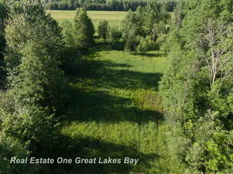 Roosevelt, Hemlock, MI 48626 photo 26