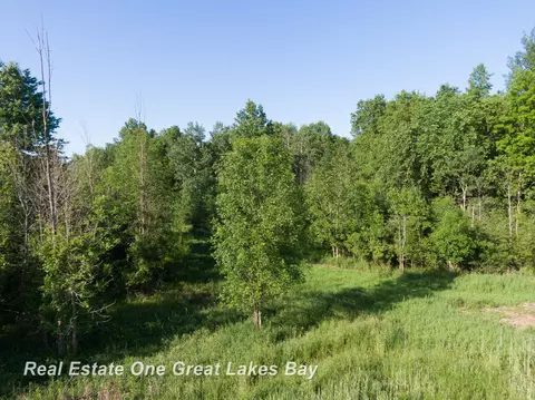 Roosevelt, Hemlock, MI 48626 photo 11