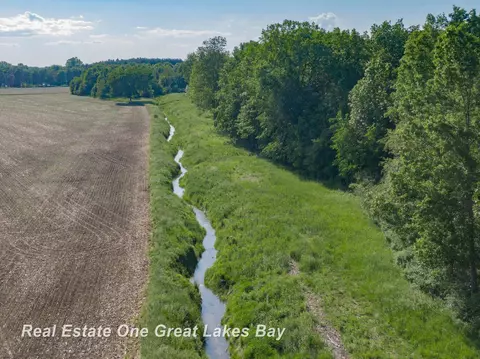 Roosevelt, Hemlock, MI 48626 photo 28
