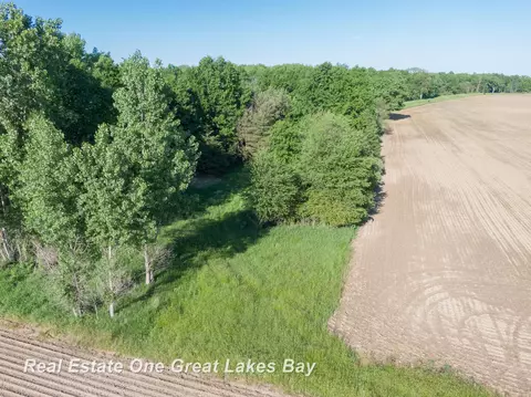 Roosevelt, Hemlock, MI 48626 photo 20