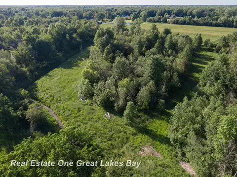 Roosevelt, Hemlock, MI 48626 photo 17