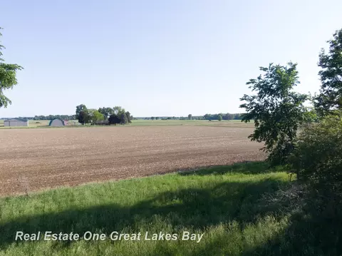 Roosevelt, Hemlock, MI 48626 photo 14