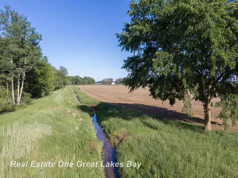 Roosevelt, Hemlock, MI 48626 photo 13