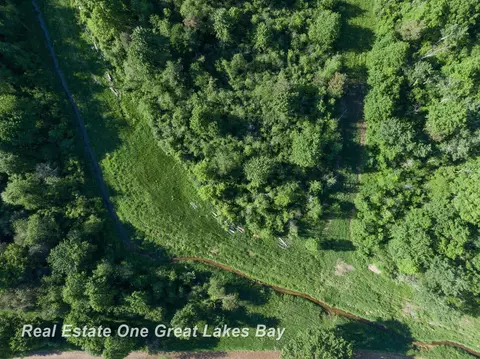 Roosevelt, Hemlock, MI 48626 photo 23