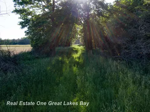 Roosevelt, Hemlock, MI 48626 photo 16
