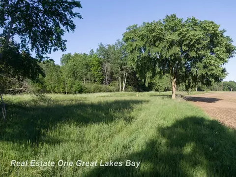 Roosevelt, Hemlock, MI 48626 photo 12
