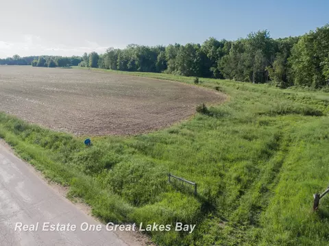 Roosevelt, Hemlock, MI 48626 photo 10