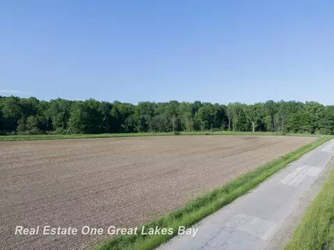 Roosevelt, Hemlock, MI 48626 photo 3
