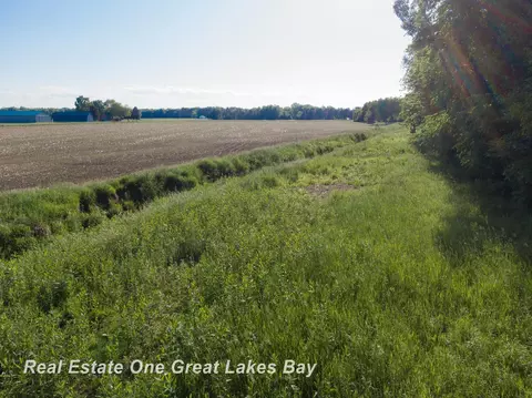 Roosevelt, Hemlock, MI 48626 photo 9