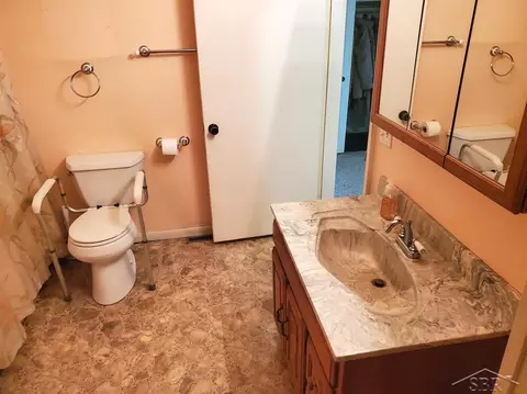 16605 Doyle, Hemlock, MI 48626 photo 14