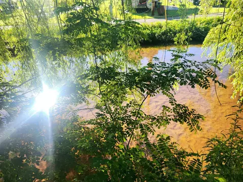 303 Pine, Marion, MI 49665