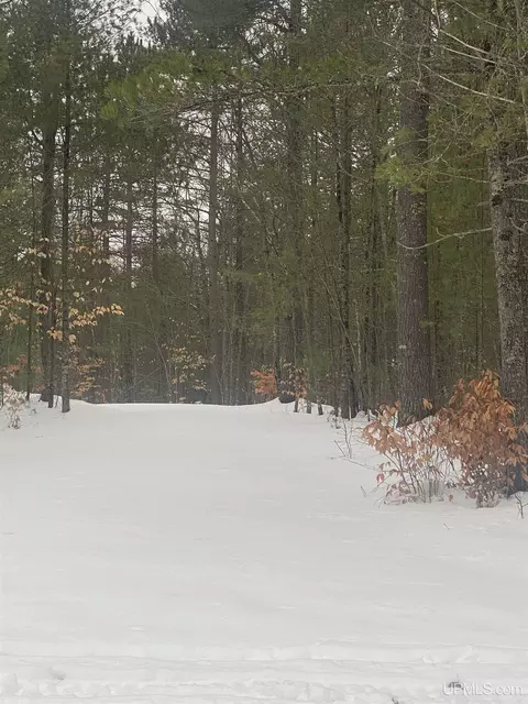 Tbd Powell Lake, Wetmore, MI 49895
