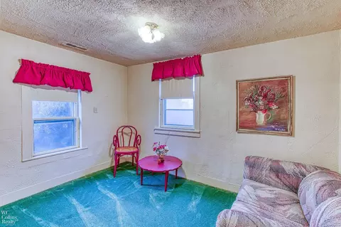 68975 Omo, Ray Twp, MI 48096 photo 36