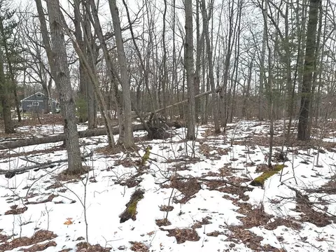 Nhn Fire Lane, Lake, MI 48632