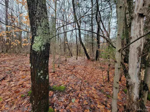 Tbd N Ross Lake, Shingleton, MI 49884 photo 3
