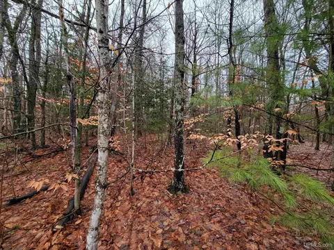 Tbd N Ross Lake, Shingleton, MI 49884 photo 4