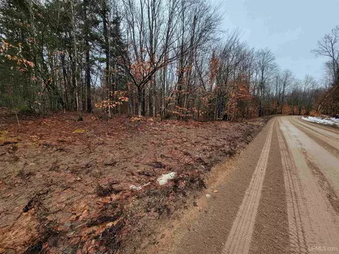 Tbd N Ross Lake, Shingleton, MI 49884 photo 2