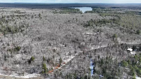 Tbd N Ross Lake, Shingleton, MI 49884 photo 5