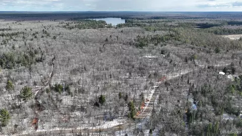 Tbd N Ross Lake, Shingleton, MI 49884 photo 7