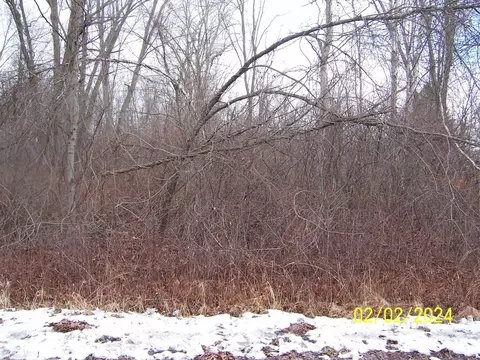 Nern, Port Huron, MI 48060