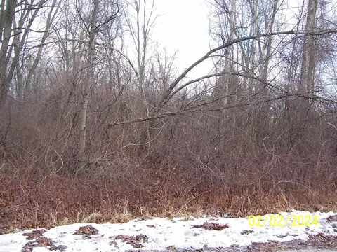 Nern, Port Huron, MI 48060 photo 2
