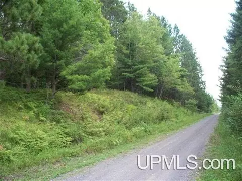 Tbd M28, Kenton, MI 49967