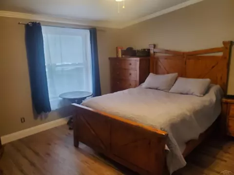 Bedroom - 10900 S Francis, Dewitt, MI 48820 photo 1 of 5