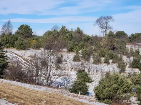 tbd us141, Crystal Falls, MI 49920