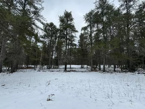 Tbd Liberty, Au Train, MI 49862