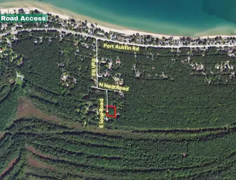 Tbd E Loop, Caseville, MI 48725 photo 4