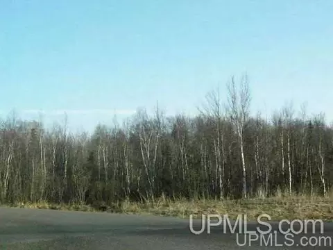 lot2 Airport Park #CO RD 35B, Hancock, MI 49930