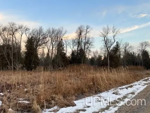Tbd Blue Fox, Cedar River, MI 49887 photo 8