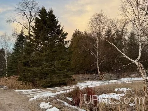 Tbd Blue Fox, Cedar River, MI 49887 photo 9