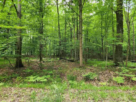 Lot 1043 Spruce Hill, Farwell, MI 48622