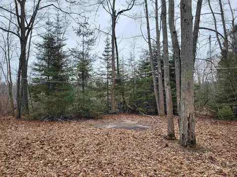 Lot 39 Doe, Gladwin, MI 48624
