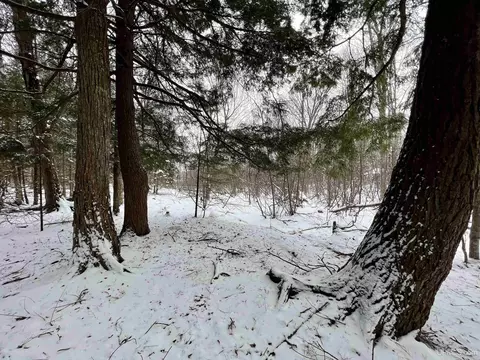 tbd E Silver Lk, Iron River, MI 49935 photo 4