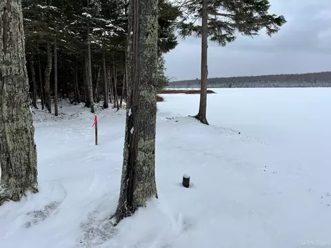 tbd E Silver Lk, Iron River, MI 49935 photo 8