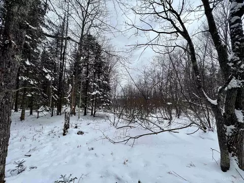 tbd E Silver Lk, Iron River, MI 49935 photo 5