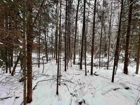tbd E Silver Lk, Iron River, MI 49935 photo 3