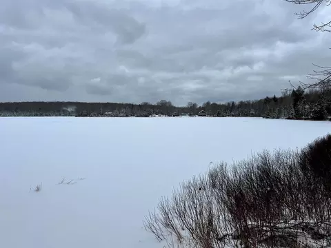 tbd E Silver Lk, Iron River, MI 49935