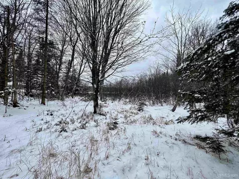 tbd E Silver Lk, Iron River, MI 49935 photo 6