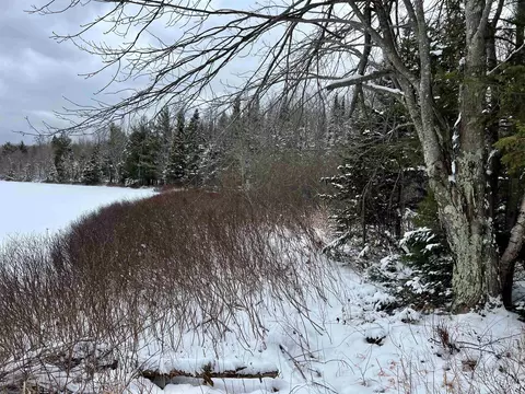 tbd E Silver Lk, Iron River, MI 49935 photo 7