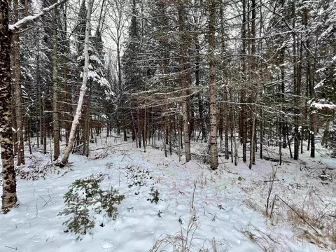 tbd E Silver Lk, Iron River, MI 49935 photo 2