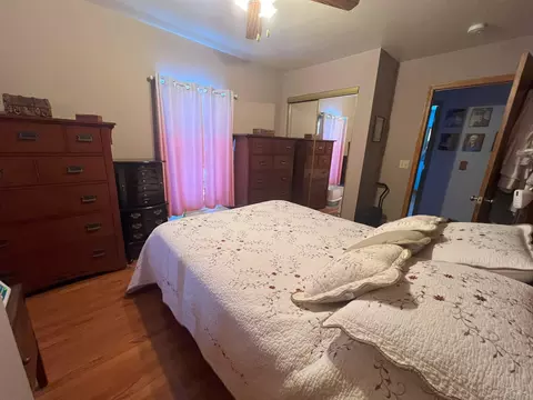 355 S Chippewa, Shepherd, MI 48883 photo 3
