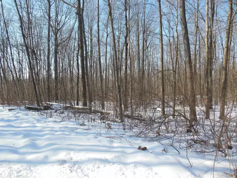 Lots 38 39 40 Whitetail, Harrison, MI 48625