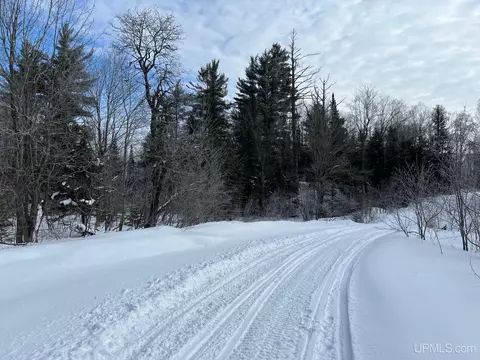 19259 Celotex, L'anse, MI 49946 photo 33